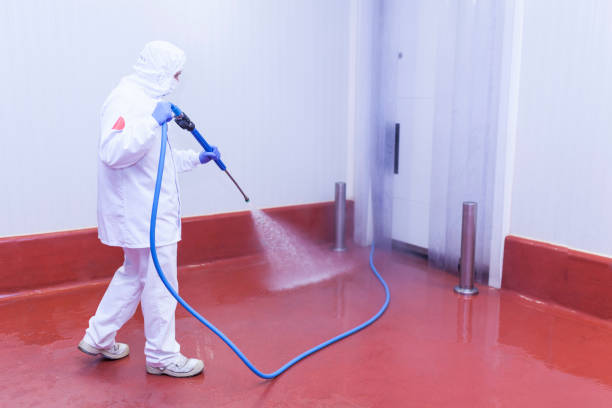Best Spring Cleaning  in Ravenna, OH
